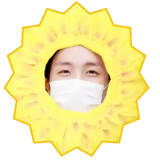 Kpop Memes