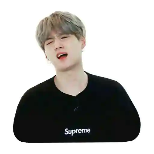 Kpop Memes
