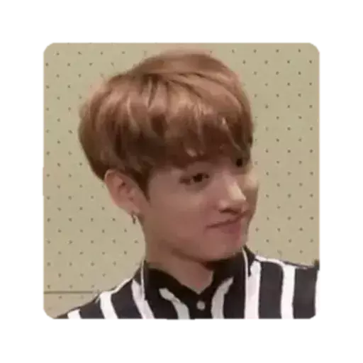 kpop Memes